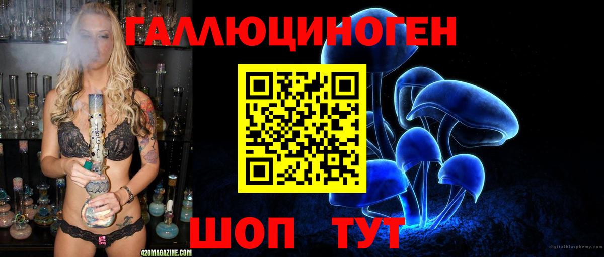 Амфетамин Светлоград