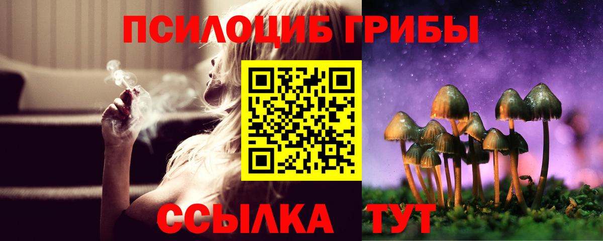 Галлюциногенные грибы Psilocybine cubensis Светлоград