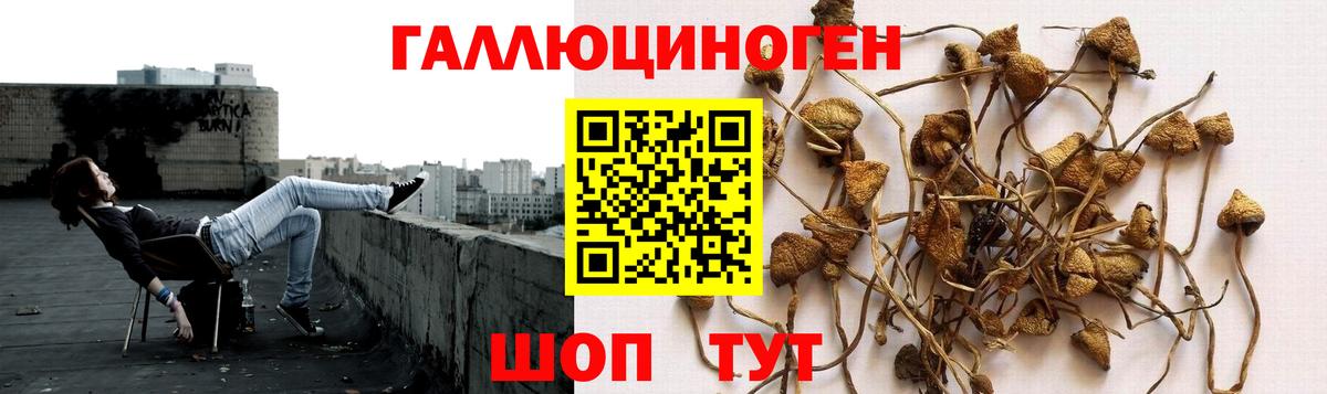 Галлюциногенные грибы мухоморы  Псилоцибиновые грибы MAGIC MUSHROOMS  продажа наркотиков  Светлоград  Вход с VPN 
